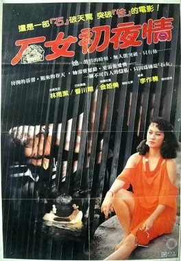 石女初夜情 海报