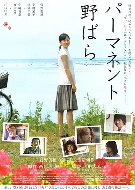 《常开野蔷薇》：绽放于职场，女性的坚韧与成长