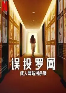 《误投罗网》：成人网站背后的罪恶，网络拐杀案深度剖析
