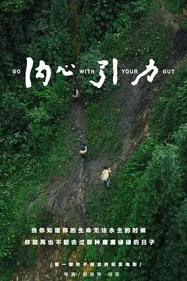 《内心引力》：探索生命的意义，追寻真实的自我