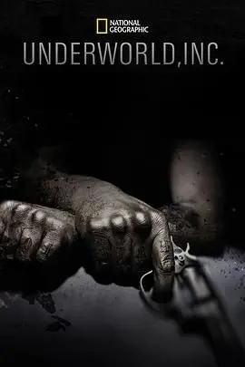 揭秘《黑市大企业第一季》：金钱、权力与罪恶的暗黑交易，比想象更惊悚！