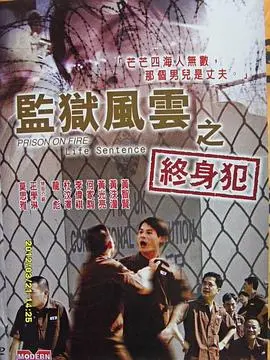 《监狱风云之终身犯》：黑暗铁窗下的正义与救赎，深度剖析港片经典