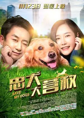 《忠犬大营救》：这只狗子太能“卷”了！萌翻全场，看完泪奔，比看《综艺》还上头！